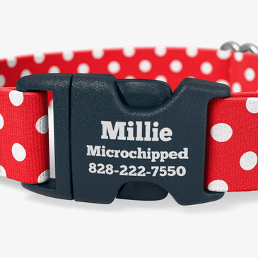 Buckle personalized